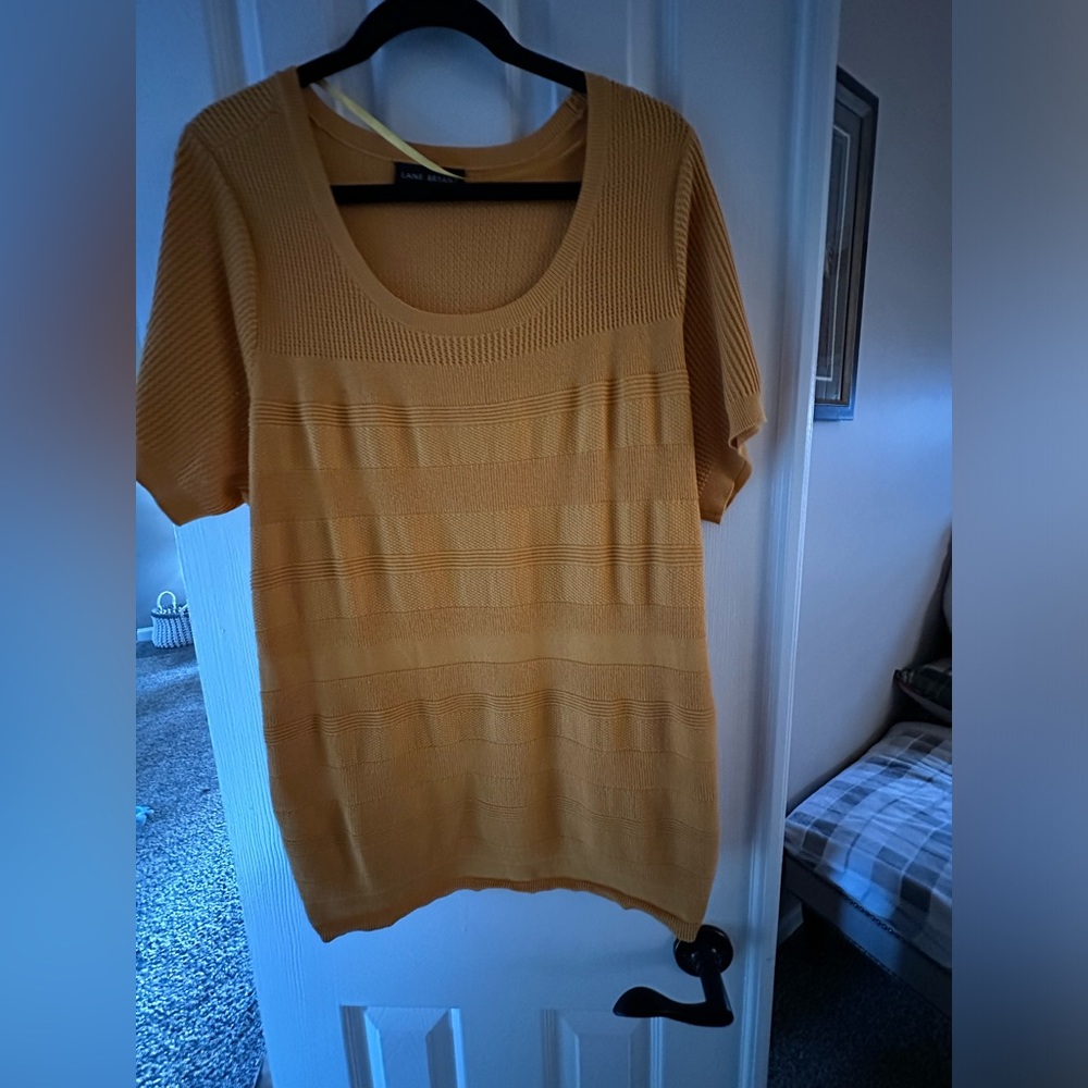 Lane Bryant short sleeve top
